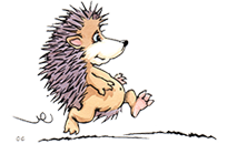 Nuit insolite escargot géant